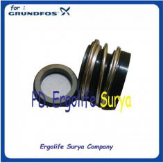 Mechanical Seal for Grundfos NBG 50-32-130 or NKG 50-